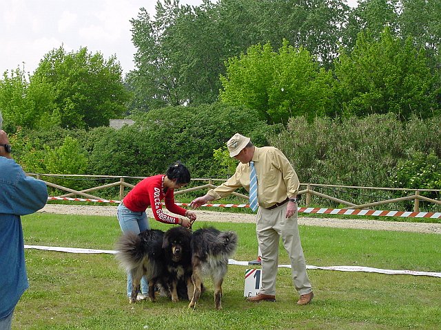 Immagine 083.jpg
